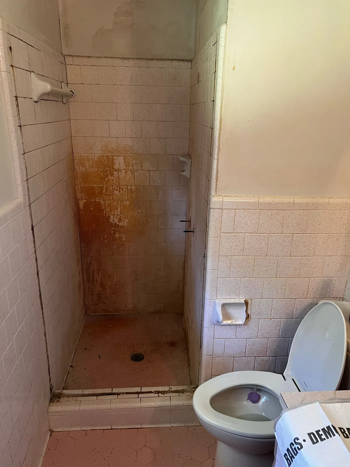 Dated pink-tiled bathroom before a full gut remodel