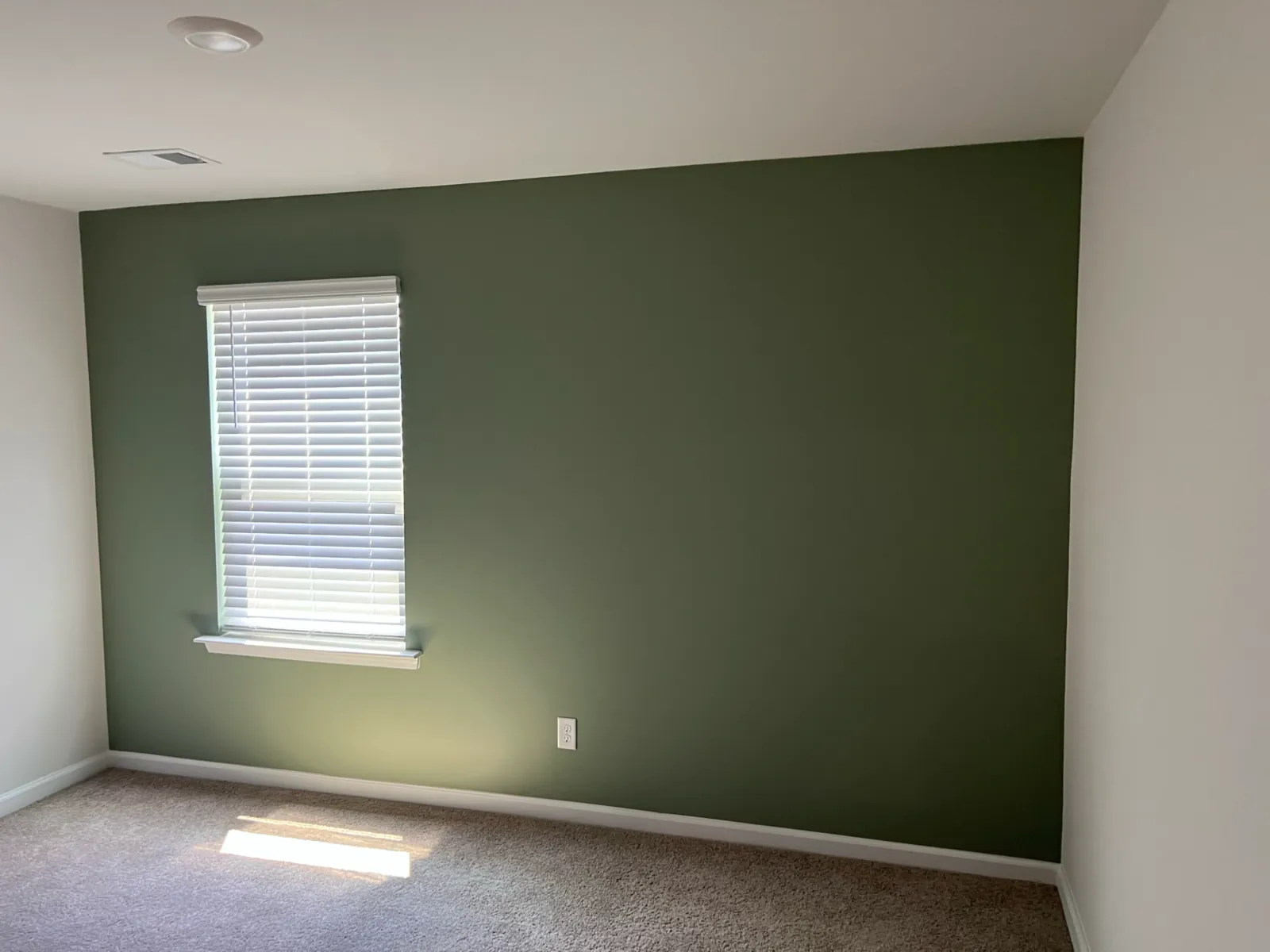 Bedroom with a sage-green accent wall, crisp white ceiling and trim, over new carpet
